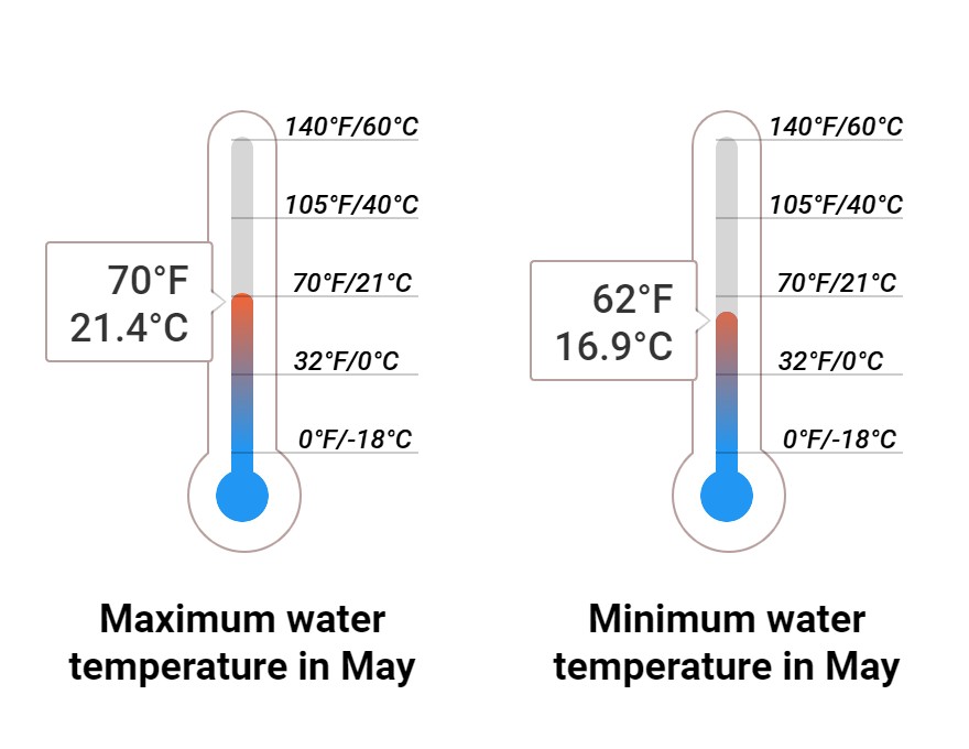 Average Sea temperature